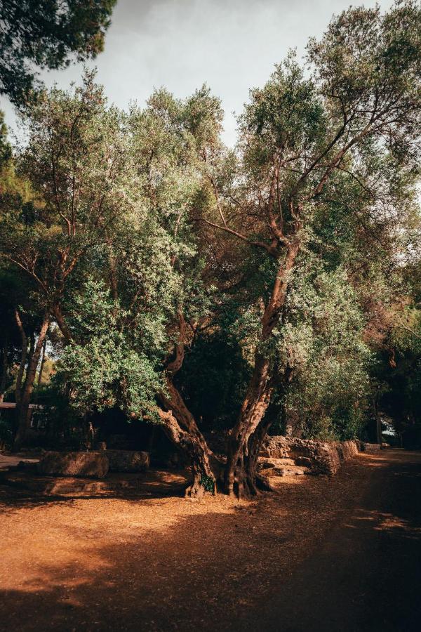 Ferienwohnung I Giardini Di Santomaj Leporano Exterior foto
